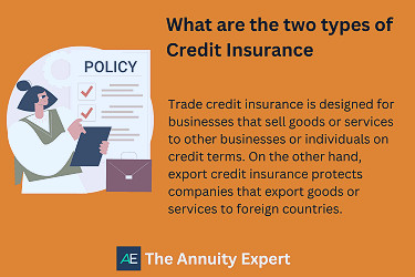 Credit Insurance: Everything You Need To Know (2023)